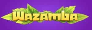 Bônus de amigo em cassino online