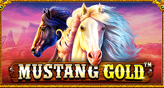 Jogo de dardos profissional