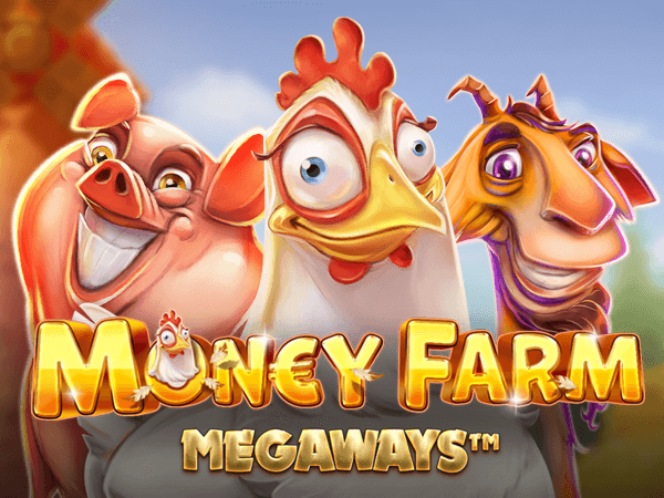 Como funciona o jogo blaze