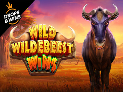 Melhor jogo de aposta para ganhar dinheiro